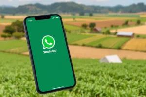 Smartphone exibindo o WhatsApp Business diante de uma paisagem agrícola.
