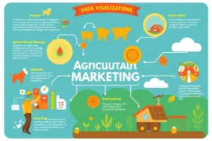 Infográfico representando a comunicação no setor agro.