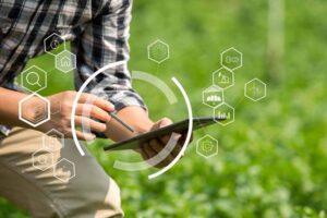 marketing digital agro — calendário editorial por safra