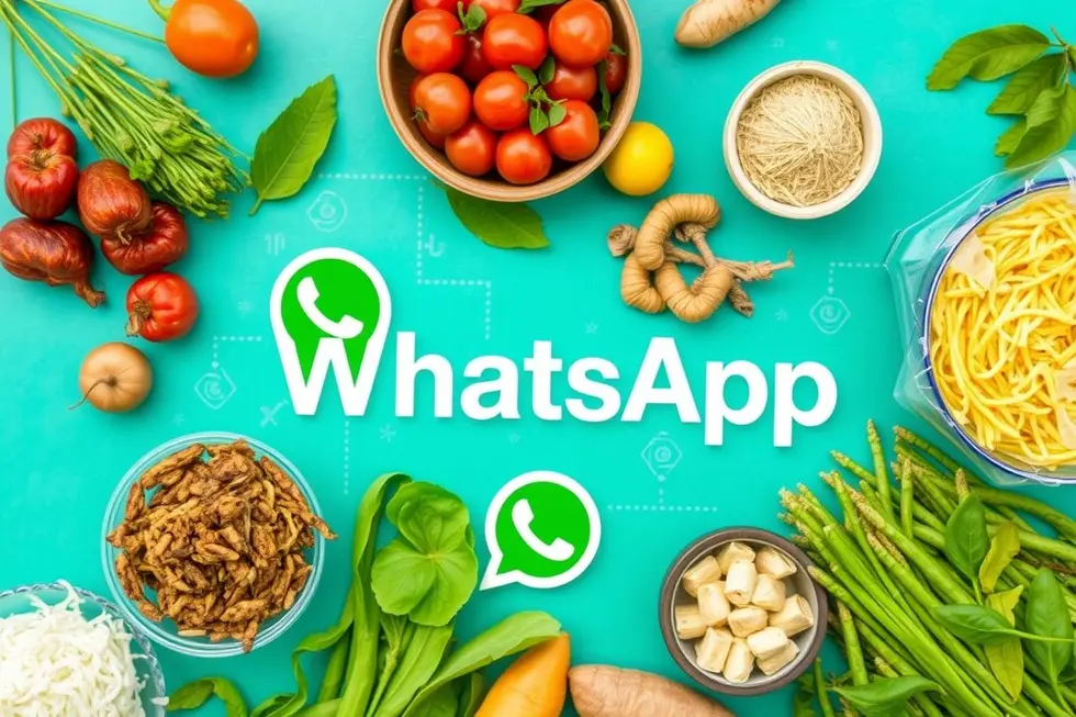 Conexões no setor agrícola facilitadas pelo WhatsApp