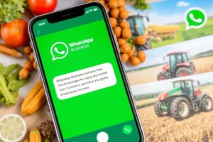 Imagem representativa do uso do WhatsApp Business no setor agro.