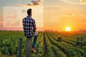 Ilustração de um profissional de marketing apontando para duas estratégias contrastantes com elementos agrícolas ao fundo.