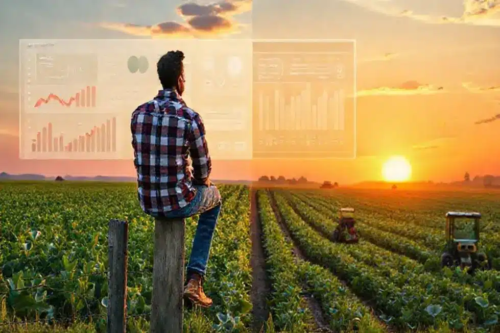 Ilustração de um profissional de marketing apontando para duas estratégias contrastantes com elementos agrícolas ao fundo.